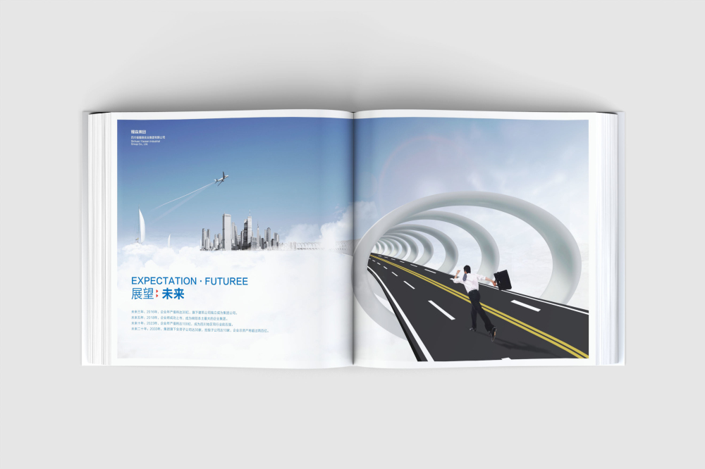 邻水县画册设计